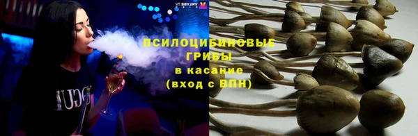 тгк Абинск