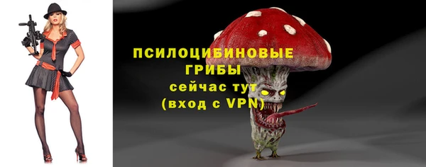 стафф Алексеевка