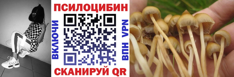 Галлюциногенные грибы MAGIC MUSHROOMS Вичуга